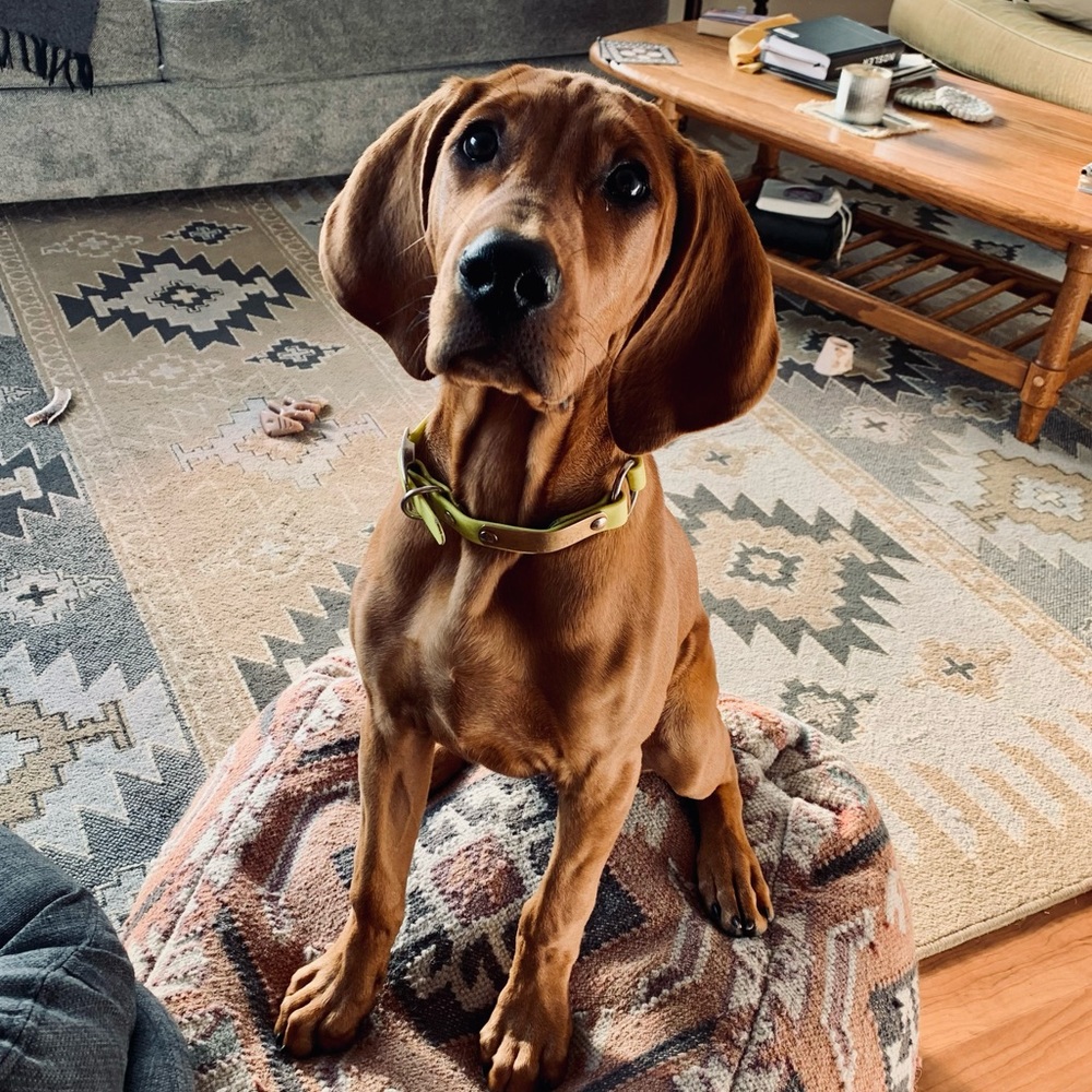 Meet your Posher, Charmaine